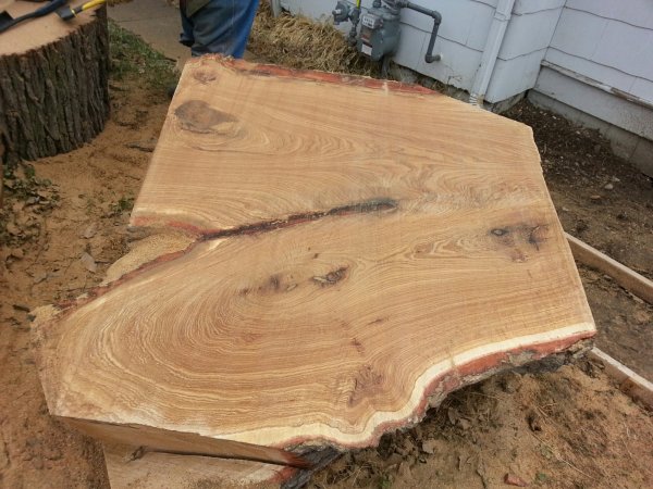 Oak slab leftover.jpg