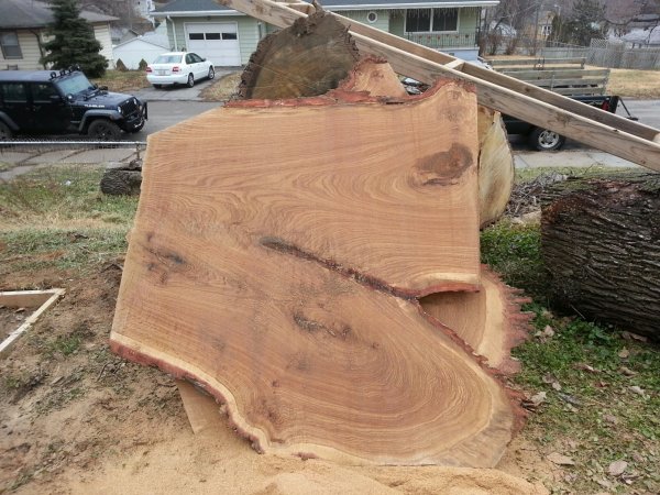 Oak slab 7.jpg