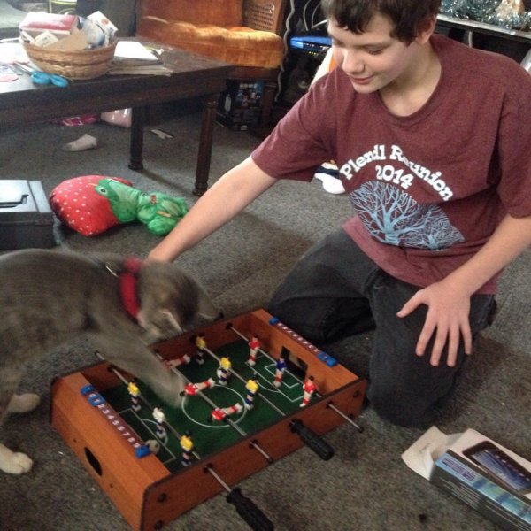 image.jpg
