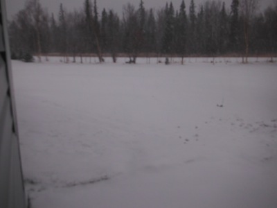 DSCF4667.JPG