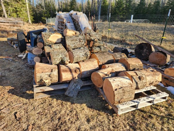 Oak splitting pile.jpg