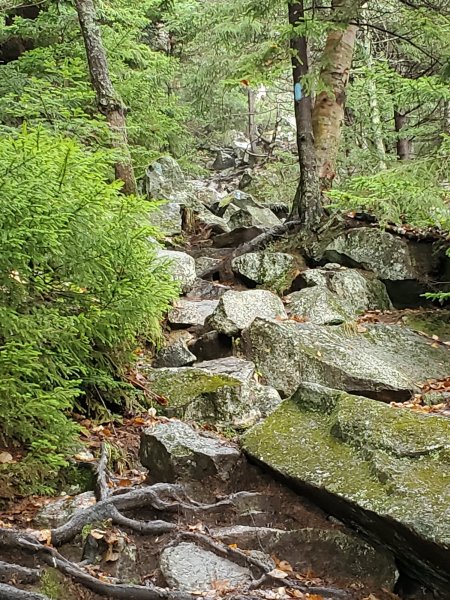 20221025_120640.jpg
