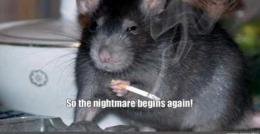 Screen Shot 2024-03-17 at 8.04.09 AM.png