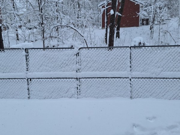 Chain link fence almost privacy fence.jpg
