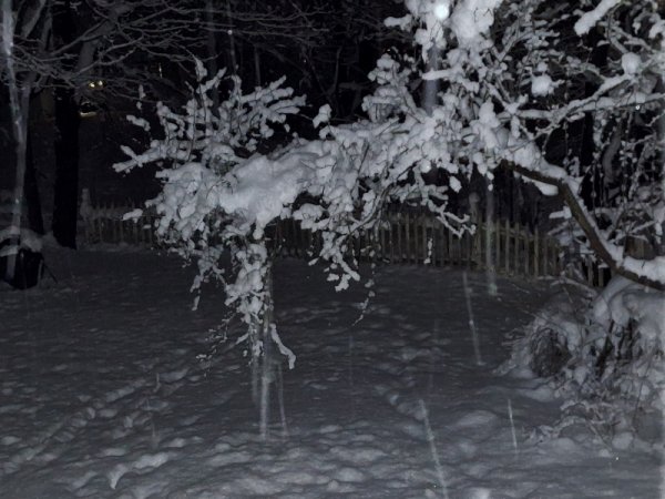 crabapple branch new snow 4-5-2024 am.jpg