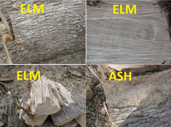 WOOD.jpg
