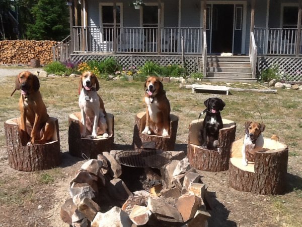 firepit hounds.jpeg