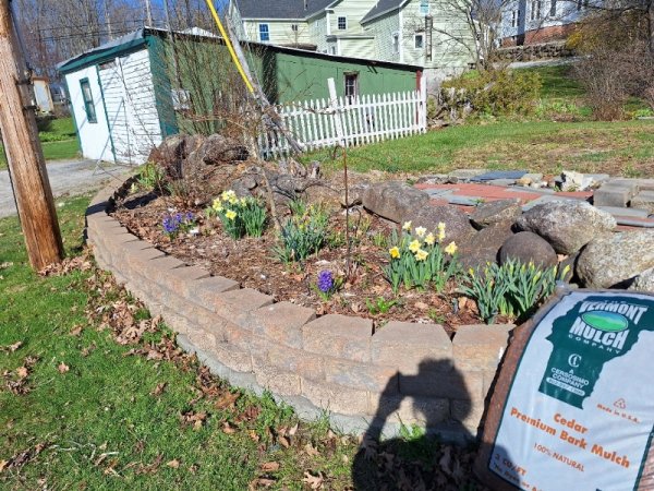 roadside garden before clean up.jpg