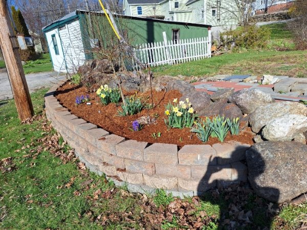 roadside garden after clean up.jpg