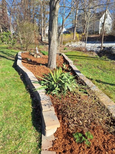 south garden after mulch.jpg