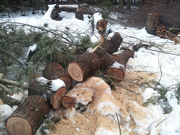 2014-12-27 15.19.18.jpg