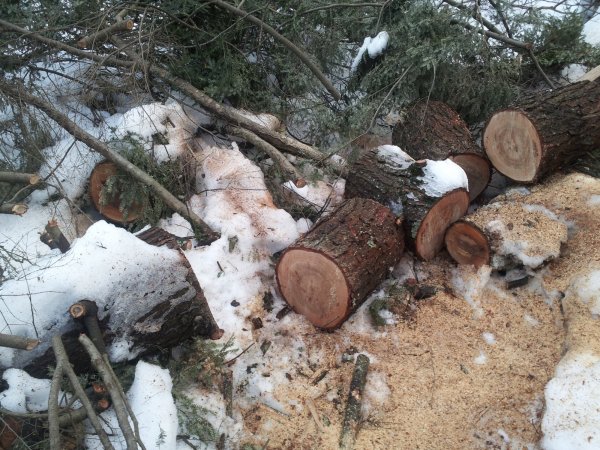 2014-12-27 15.19.24.jpg