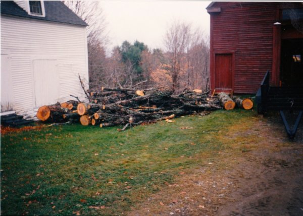 Farm firewood, maple from Scott Adams 1995.jpeg