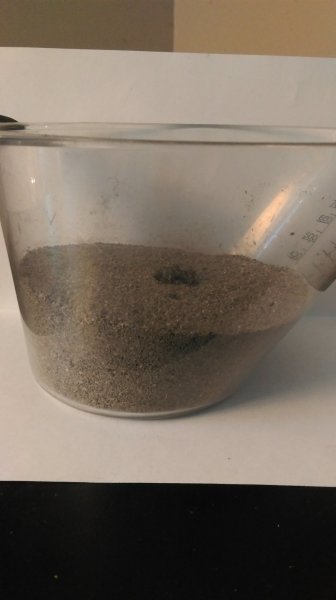 IMAG0330.jpg