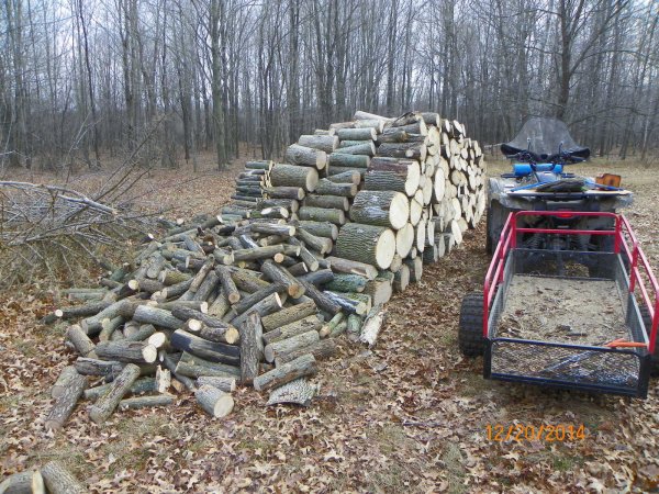 Wood 12-20-2014a.JPG