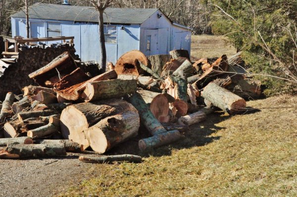 DSC_0195 (1024x680).jpg