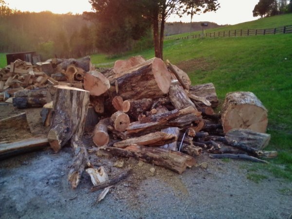 KIMG0003 (1024x768).jpg