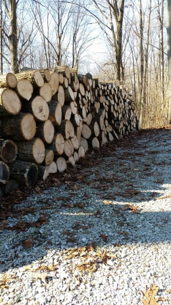 wood tempory stack.jpg