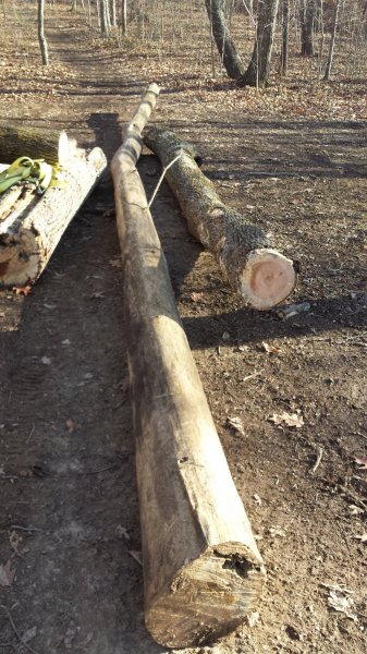 20150101_143944.jpg