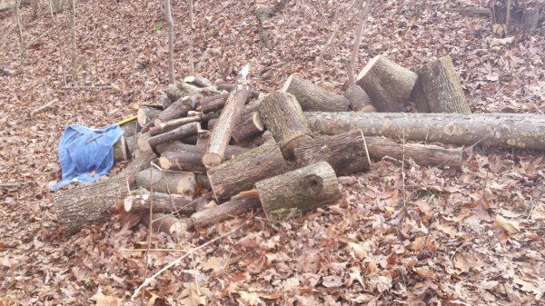 20150101_121511.jpg