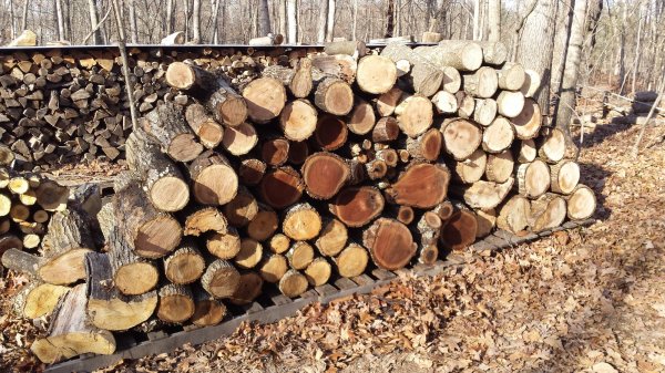20150101_143918.jpg
