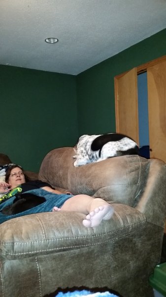 20150101_172956.jpg