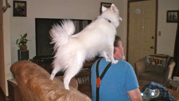 100_0008.JPG