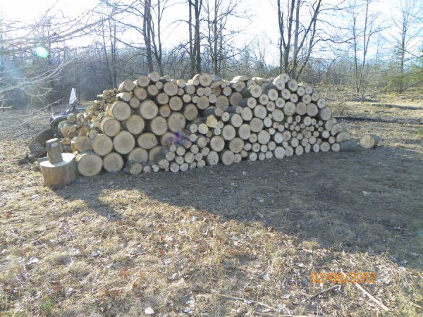 Splitting pile-4.JPG