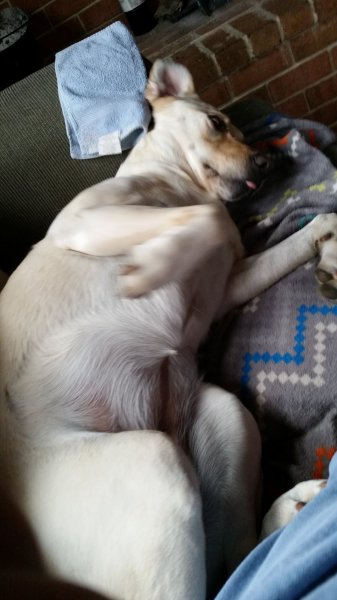 20141220_093649.jpg