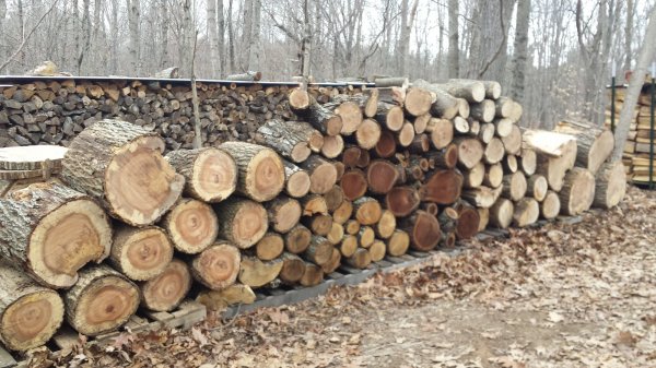 20150102_114627.jpg