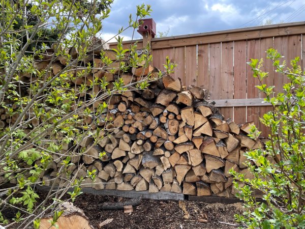 Woodpile 1.jpg