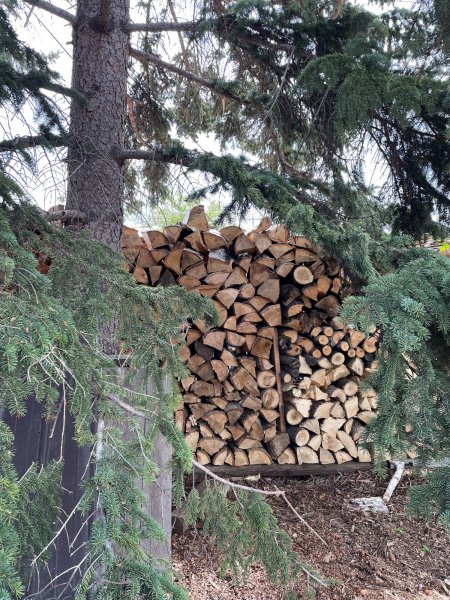 woodpile 2.jpg