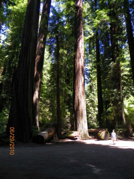 Judy looks small.JPG