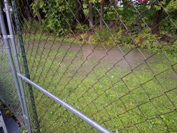 Pond in backyard.jpg