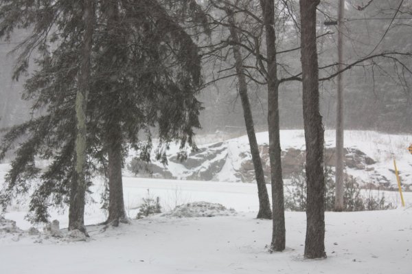 Jan 3rd 2015 004.JPG