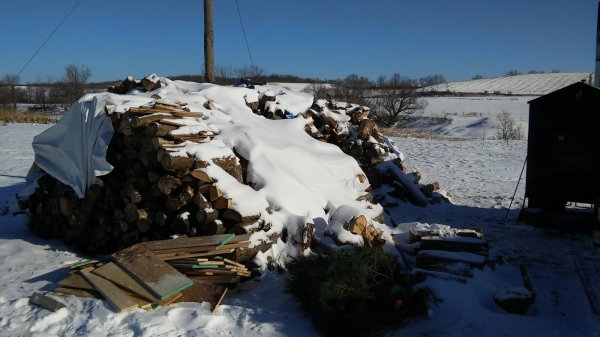 20150107_115201.jpg