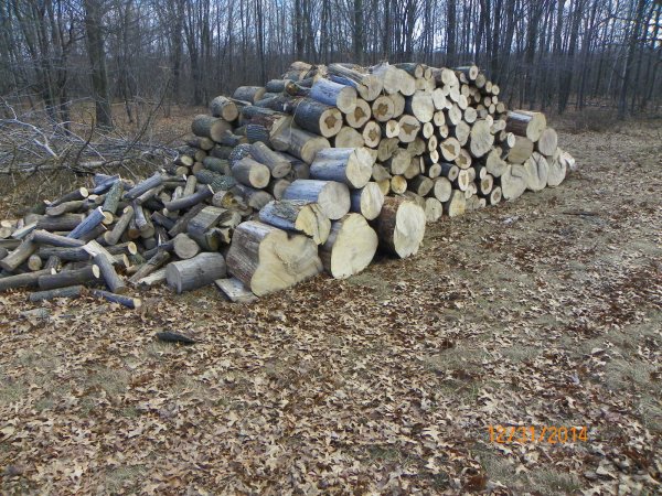 Woodpile 12-31-14b.JPG