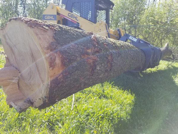 Gehl with Cherry log.jpg