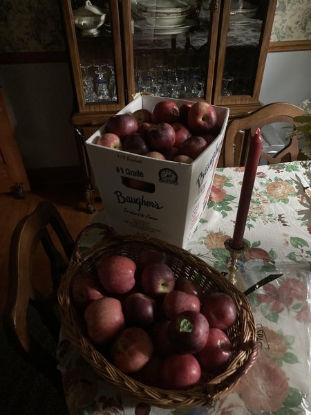 apples.jpg