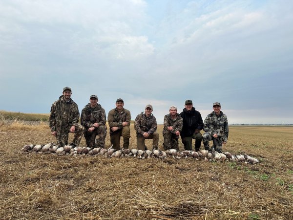 Associates Bird hunt.jpg