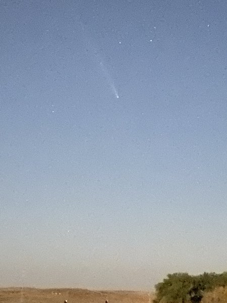 IMG_2026.jpeg