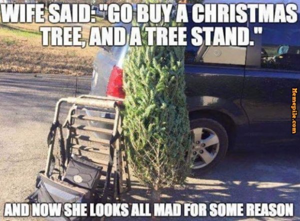 Buy tree and stand.jpg