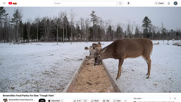 Screenshot 2024-12-21 at 07-56-08 Brownville's Food Pantry For Deer Trough View - YouTube.png