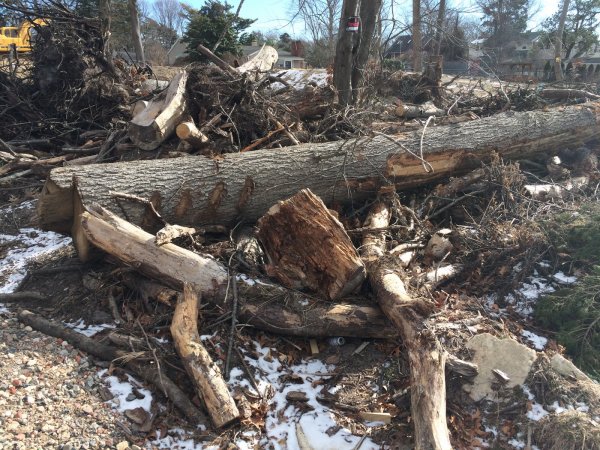 Full round1_resize.JPG