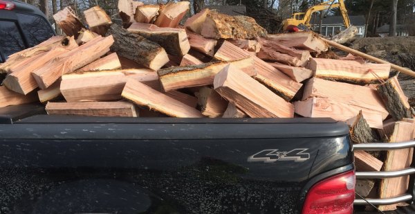 Oak close_resize.JPG