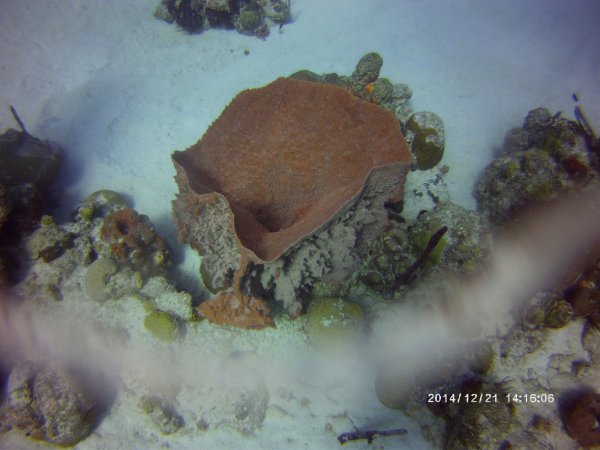 PICT0013.JPG