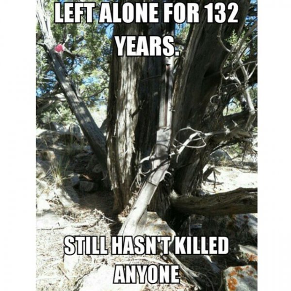 winchester 132.jpg