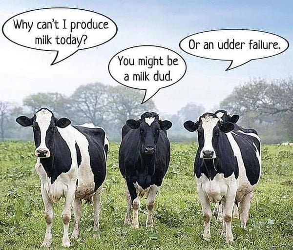 Why not milking - Copy.jpg