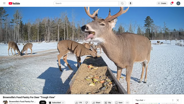 Screenshot 2025-01-22 at 11-28-47 (1) Brownville's Food Pantry For Deer Trough View - YouTube.png