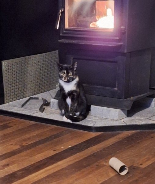 Lila in front of stove.jpg